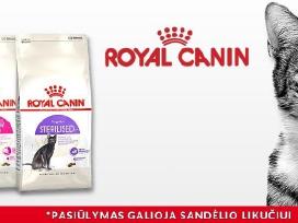 Royal canin sterilised 10kg