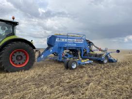 Strip-till rapsų sėjos paslauga