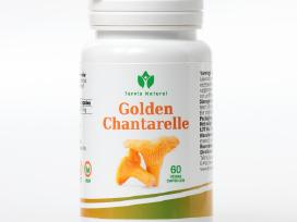 Golden Chantarelle