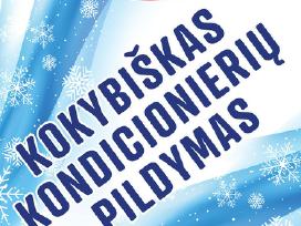 Kondicionierių Pildymas Klaip. Dituva Palanga