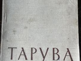 Albumas Tapyba