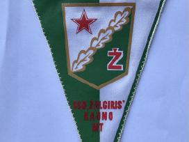 Gairelė - SSD "Žalgiris" Kauno Mt