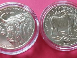 Slovakija 2024m 5 € Stumbras Unc
