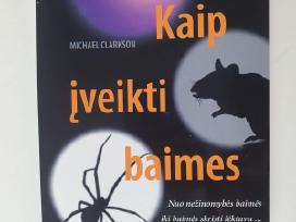 Knyga"kaip įveikti baimes" Michael Clarkson