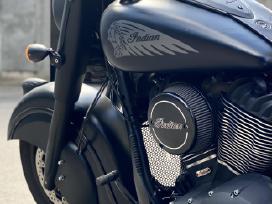 Indian Chief Dark Horse