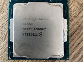 Intel pentium G4560 lga1151 su ausintuvu