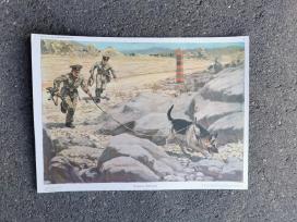 Plakatas