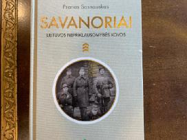 Prano Sasnausko romanas Savanoriai