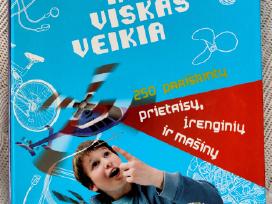 Joel & Clement Lebaume Kaip Viskas Veikia knyga