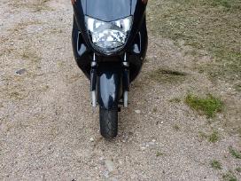 Honda Foresight Fes 250 1998metu 4-t.