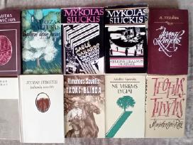 Lietuvių grožinės literatūros rinkinys Nr.4