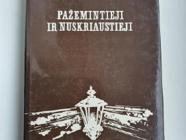 Knyga Dostojevskis Pažemintieji ir Nuskriaustieji