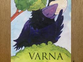 Knyga vaikams "Varna ir sūris" lietuvių pasaka