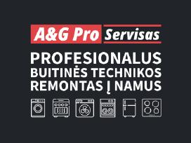 Profesionalus Buitinės Technikos Remontas į Namus