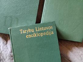 Tarybų Lietuvos enciklopedija