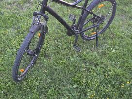 Miesto dviratis Bulls Sharptail street 3
