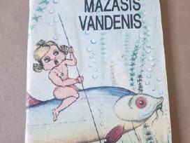 Mažasis vandenis