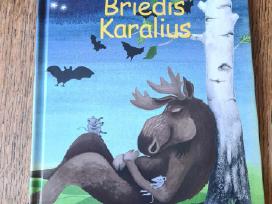 Briedis karalius (Ulf Stark)