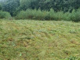 Namų valda 0,5340 ha Vilties g. Ignalina