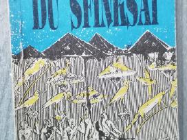 Knyga Du sfinksai