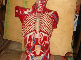 Tarybiniu laiku