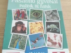 Stalo žaidimas