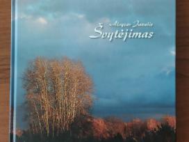 Aioyzas Janušis " Švytėjimas ".