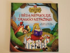 Knyga Į bėdą nepuolęs draugo nepažinsi