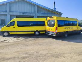 Siūlau darbą mikroautobusų dažytojui