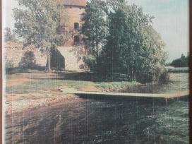 1849. Lithuania An Encyclopedic Survey
