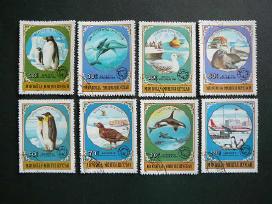Pingvinai Ruoniai Delfinai 1980 Mongolija mng67