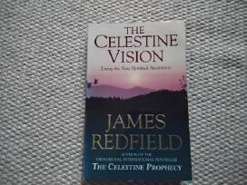 The Celestine Vision James Redfield