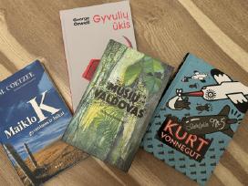 Knygos gimnazinėms klasėms