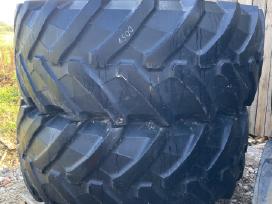 Pirelli