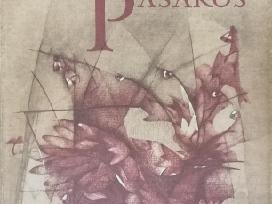 Močiutės pasakos