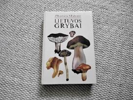 Lietuvos grybai J. Mazelaitis, A. Gricius