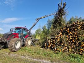 Medžių ir krūmų iškirtimas - apleisto sklypo valym