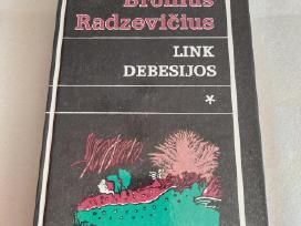 Link Debesijos