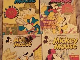 Mickey mouse