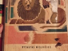 Danukas Dunduliukas vintage