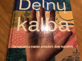 Delnų kalba