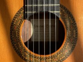 Profesionali gitara Francisco Esteve mod. 12