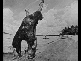 Zymaus foto menininko A.macijausko foto albumai