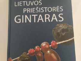 Knyga Lietuvos priešistores gintaras