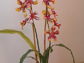 Dirbtinė orchidėja