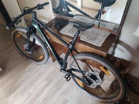 Scott Scale 930 Bike wakame green