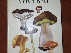 Lietuvos grybai