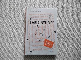 Labirintuose Rasa Andrikienė