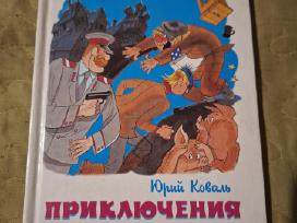 Vasios Korolesovo nuotykiai