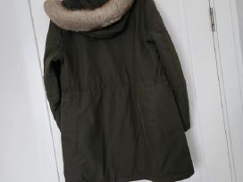 Massimo Dutti striukė